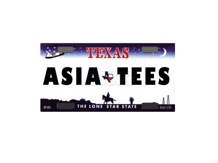 ATees Miscellaneous All Realistic Texas Licence Plate (ASIATEES) For RC Cars