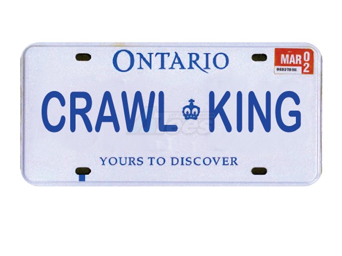 ATees Miscellaneous All Realistic Ontario Licence Plate (CRAWLKING) For RC Cars