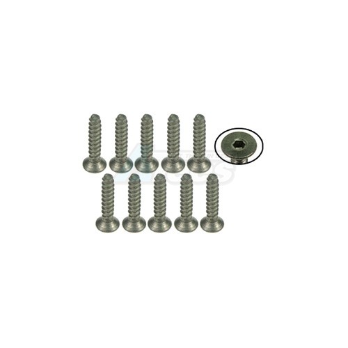 3Racing Miscellaneous All M2 x 10 Titanium Flat Head Hex Socket - Self Tapping (10 Pcs)