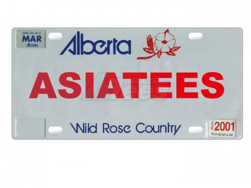 ATees Miscellaneous All Realistic Alberta Licence Plate (ASIATEES) For RC Cars