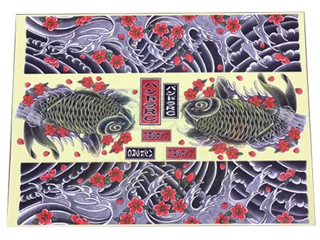 Pandora RC Miscellaneous All Vinylgraphic ver.1 Carp